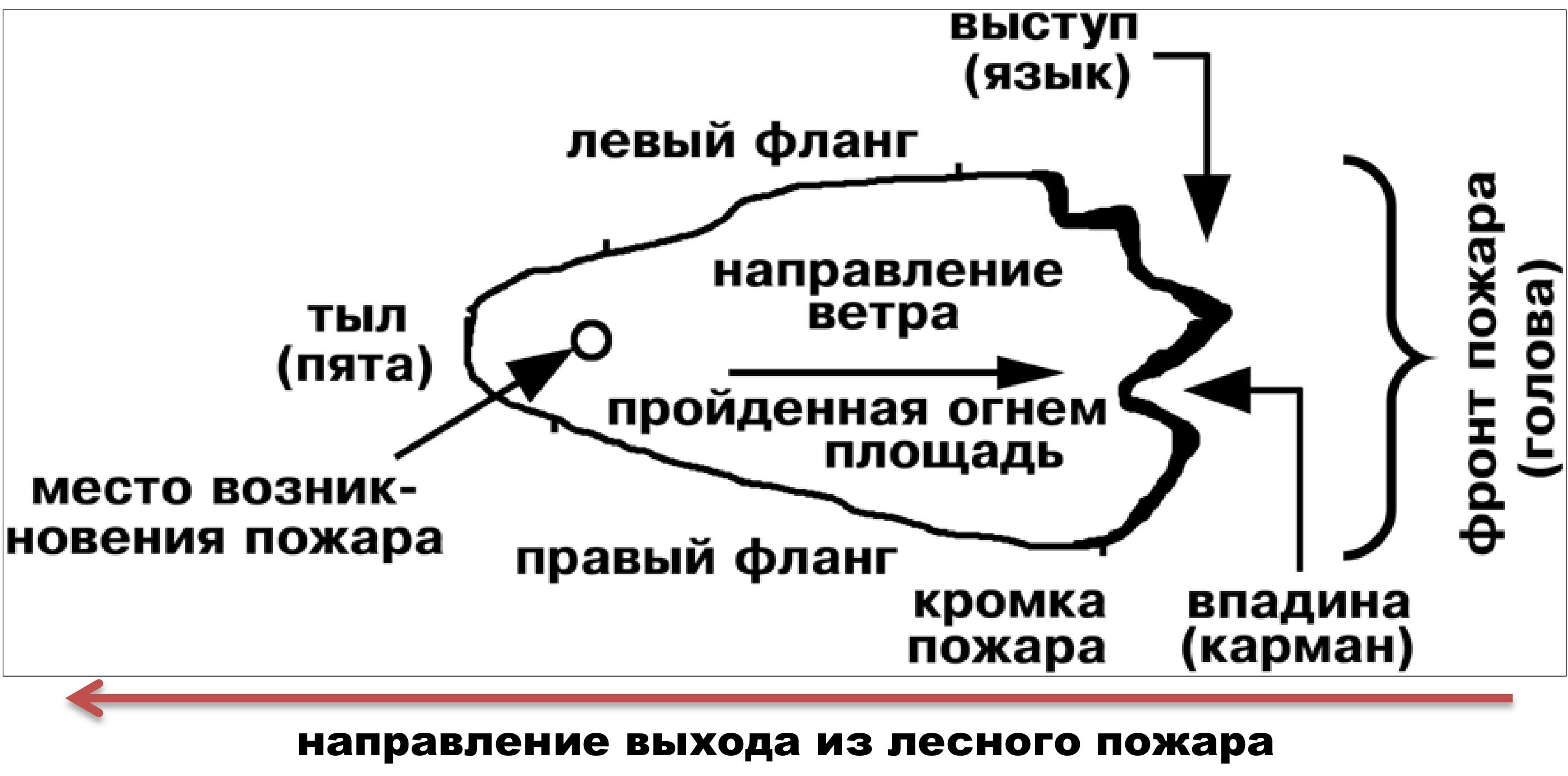 Схема тушения лесного пожара пример