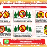 правила пожарной безопасности на природе