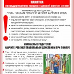 Детская шалость дома